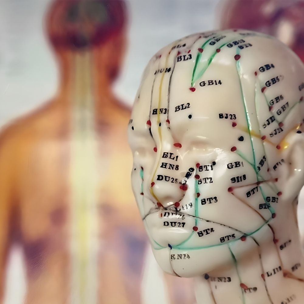 Kinesiologische Balance Anwendung bei Iris Kosmetik Wiener Neustadt zur Harmonisierung von Körper und Geist